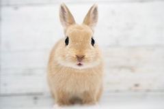 プロフィール写真6・まひな🏫3BH｜girl'sBAR 3年B組 本町校 - 本町のガールズバー