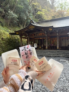 👯こち ◝▿◜♡👯