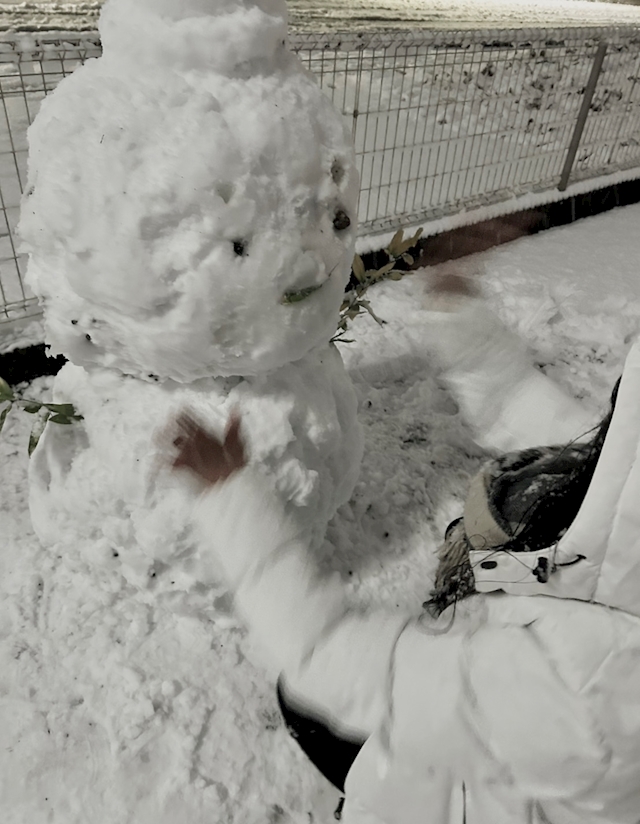 プロフィール写真1・しずく｜