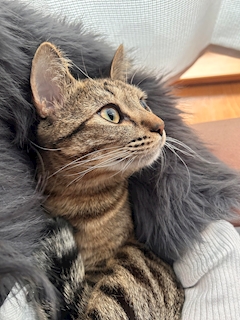 プロフィール写真2・るきあ｜SORA・ソラ - 国分町のスナック