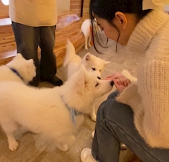 蘭「🐶」