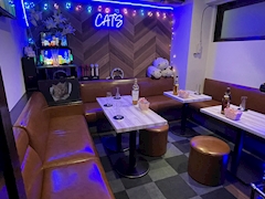 プロフィール写真5・店長|スナック&カラオケバー CAT'S・キャッツ - 亀戸のパブ/スナック