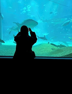 ️💖️🫧はる️🫧💖️