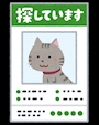 🐈🐾