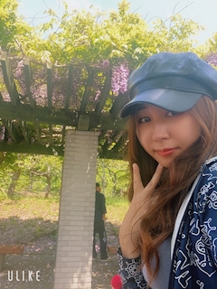 💛🍰🍡はるか💚🫘🍜🇯🇵