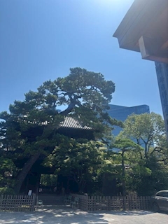 ぁぃ