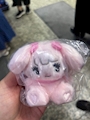 新着ブログ ❥︎・・🐇⸒⸒