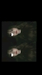 プロフィール写真4・らら｜CLUB 不夜城・フヤジョウ - 小倉のキャバクラ