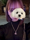 プロフィール写真1・ゆあ|Girls Bar でぃんぷる - 錦糸町のガールズバー