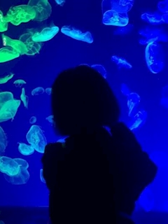 プロフィール写真1・のあ｜SNACK Harie・ハリエ - 向ヶ丘遊園/登戸のパブ/スナック