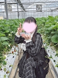 女の子の名前