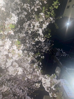 プロフィール写真1・みづき【新横浜 Kitty】｜Cafe & Bar Kitty・キティ - 新横浜のガールズバー