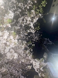 みづき【新横浜 Kitty】