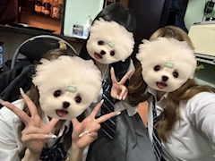 🌈めぐみ🌈 Ciao「今日から😊🚢💜」