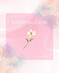 🌷Information🌷
