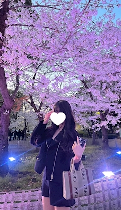 ルル「花見✿　.*✿」