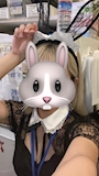 新着ブログ バニちゃん🐰💘
