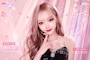 新着ブログ 元韓国アイドルでした🇰🇷