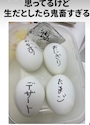 新着ブログ こんなお弁当シリーズは、こわいぞ?!笑🫢🫢