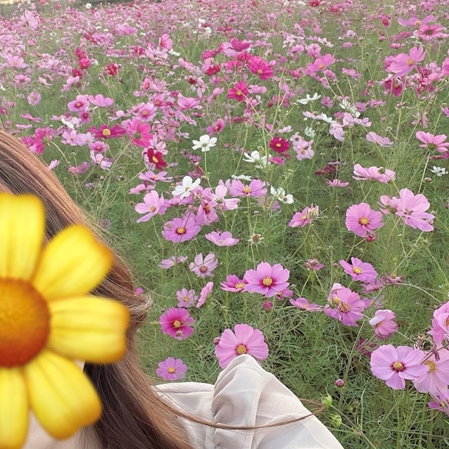 プロフィール写真1・みあ｜