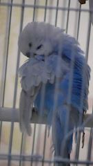 👾リン👾〜立川のちゃんみ..