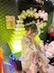 プロフィール写真10・あすか｜居酒屋×Snack じゃりんこ豊田・ジャリンコ トヨタ - 豊田のスナック