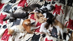 プロフィール写真3・💜🐈️ひろみ🐈‍⬛💜🍺わむら✨✨｜わむら - 国分町のスナック