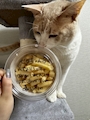 chiko