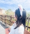 プロフィール写真1・らむ🪽*.+゚|Girl's Bar BLISS・ブリス - 中目黒のガールズバー