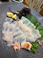 新着ブログ 今夜も美味しい魚いただき^_^