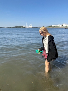 ひな