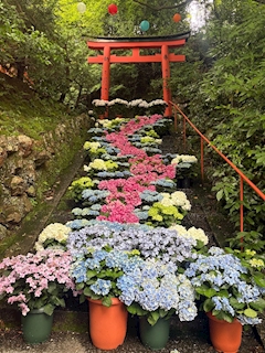 なぎ