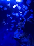 きょうか