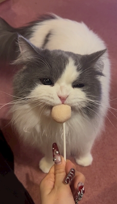 プロフィール写真1・夏目｜mode.M・モードエム - 犬山のキャバクラ