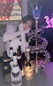 プロフィール写真3・あおい【上野NO PLAN】|BAR NO PLAN・ノープラン - 上野のガールズバー