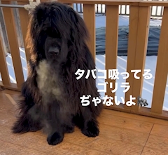 プロフィール写真2・理央ママ｜1080°・テンエイティ - 北新地のスナック