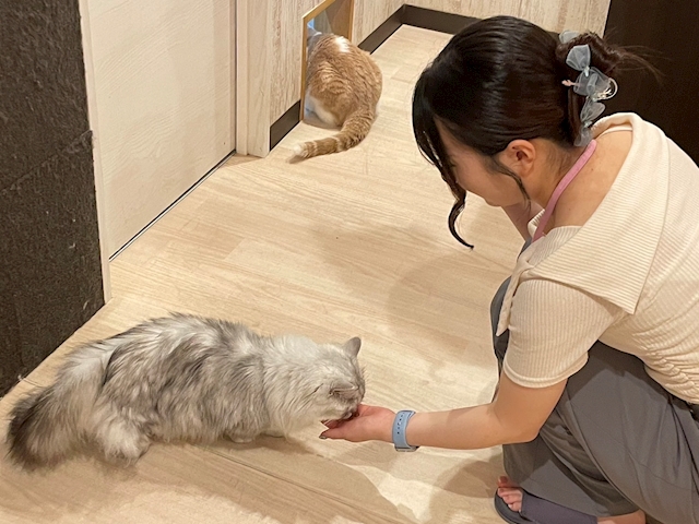 プロフィール写真2・スズ｜東海市 ガールズバー・イロハ