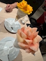 新着ブログ きょうは