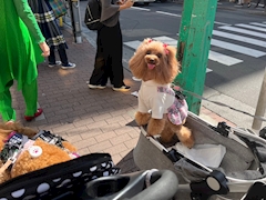 プロフィール写真4・🅱️💋𝓡𝓪𝓲💋🅱️｜Club Lady・レディ - 川崎駅前のクラブ/ラウンジ