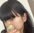 ピックアップキャスト きの 居酒屋×Snack じゃりんこ刈谷 - 刈谷のスナック