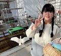 きの