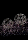 新着ブログ 日帰り山形🎆