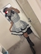 プロフィール写真3・🧸すぅD.a.l.e🧸|Girls Bar Lounge D.a.l.e・デール - 川崎駅前のガールズバー