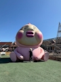 chiko