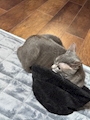 新着ブログ 😻