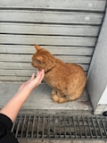 さな
