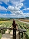 プロフィール写真1・あすか|Primavera・プリマヴェーラ - 北浦和のガールズバー