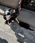 しゅり