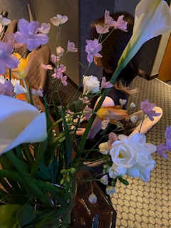 プロフィール写真1・あみ｜こでまり - 国分町のスナック