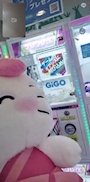 新着ブログ おやすみ中